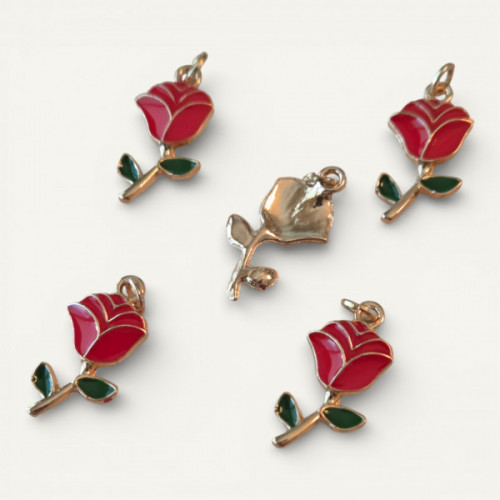 IMG_20260207_015143 (1) (11).jpg